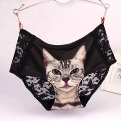 Cute-Lace-Pussy-Cat-Panties-Women-Seamless-Briefs-Sexy-Pussycat-Panties-Mid-Waist-Underpants-Women-s-1