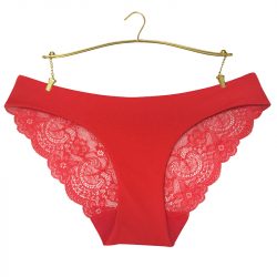 Women-Lace-Sexy-Panties-Ultra-Thin-Transparent-Flower-Embroidered-Plus-Size-Underwear-Women-s-Briefs-1